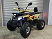 PROMAX WILD 2.0 190 PRO (2025)