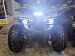PROMAX WILD 175 LUX