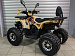 PROMAX WILD 2.0 190 PRO (2025)