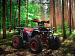 PROMAX WILD 190 PRO-LINE