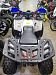 PROMAX WILD 175 LUX
