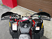 PROMAX SPORT 180