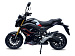 Мотоцикл PROMAX STRYKER 200(49)