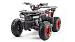 PROMAX Wild 175