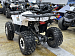PROMAX WILD 2.0 190