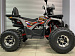 PROMAX WILD 2.0 190 PRO (2025)