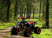 PROMAX WILD 190 PRO-LINE