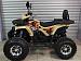 PROMAX WILD 2.0 190 PRO (2025)
