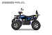 PROMAX WILD 2.0 190 PRO (2025)